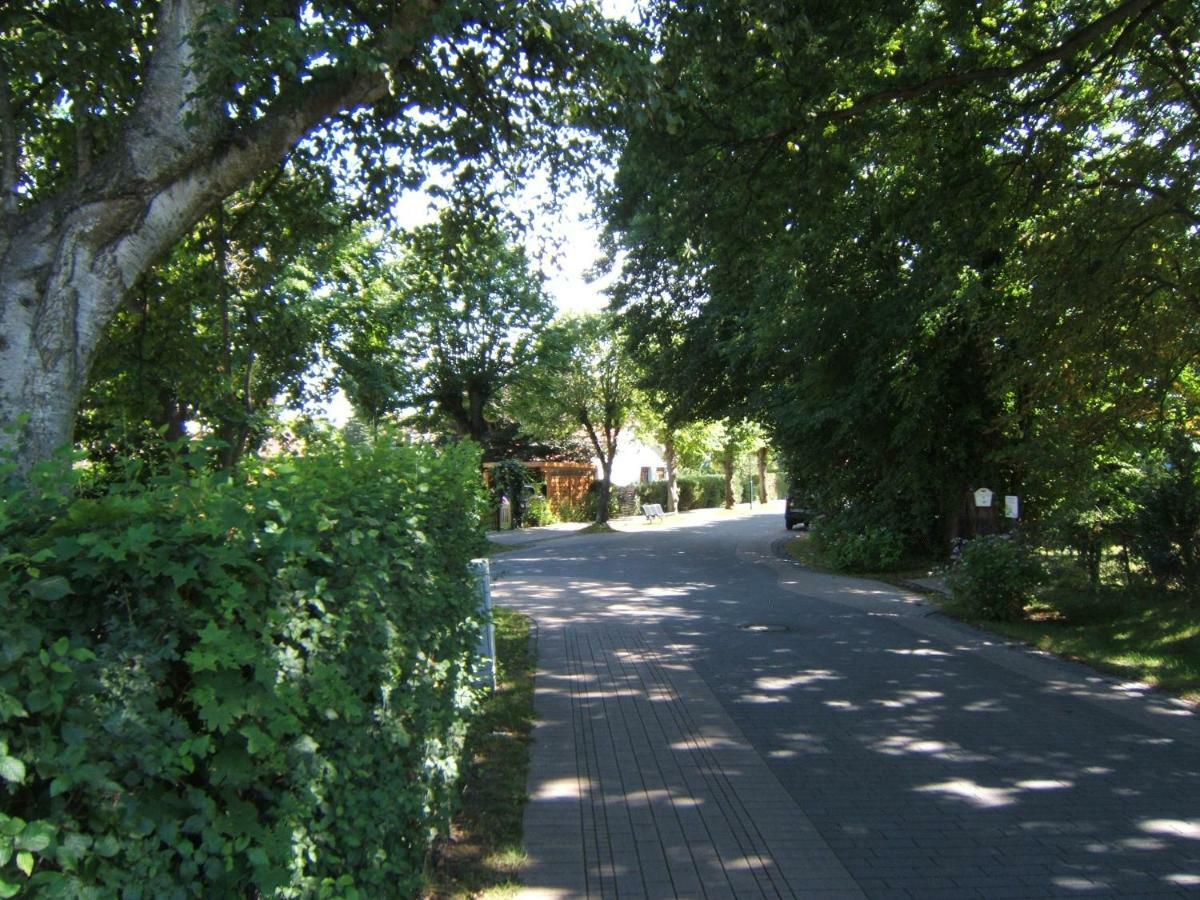 3-Zi-Ferienwohnung Piratennest 2 Ostseeheilbad Ostseeheilbad Zingst Exterior foto
